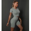 Безшовний жіночий фітнес комплект Crop T-Shirt+Tracks Push Up 24 (Sleet) Безшовний жіночий фітнес комплект Crop T-Shirt+Tracks Push Up 24 (Sleet)